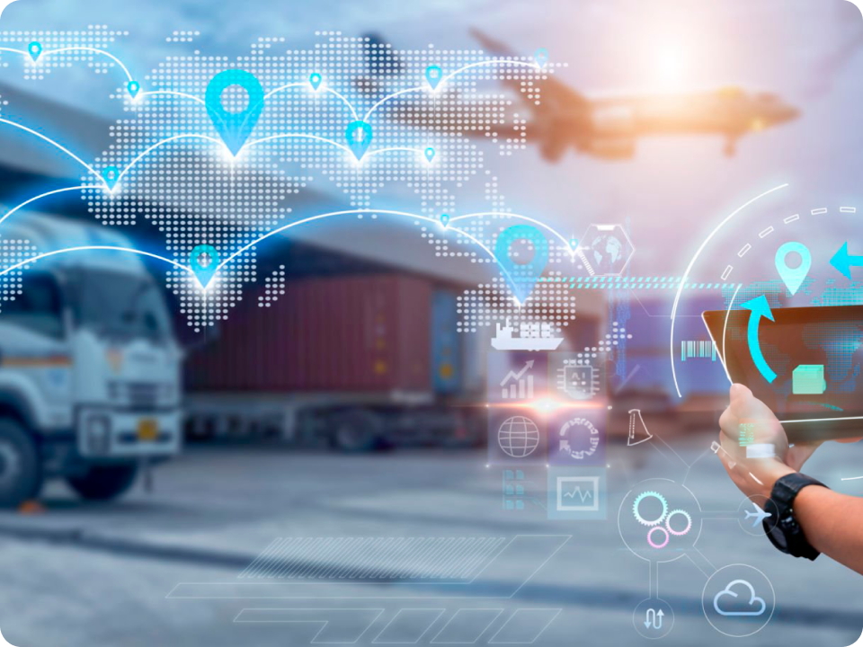 Cartonization Software